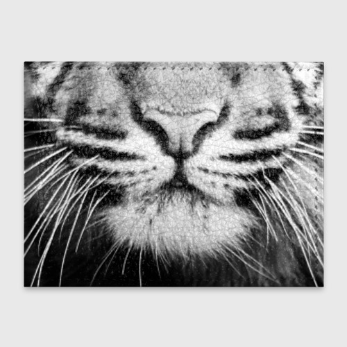 Обложка на студенческий билет Красавец тигр (кожаная)