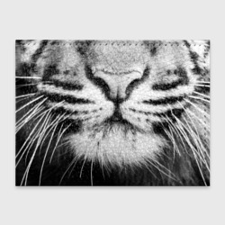 Обложка для студенческого билета Красавец тигр