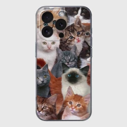 Чехол для iPhone 16 Pro Max силиконовый с защитой камеры Котики
