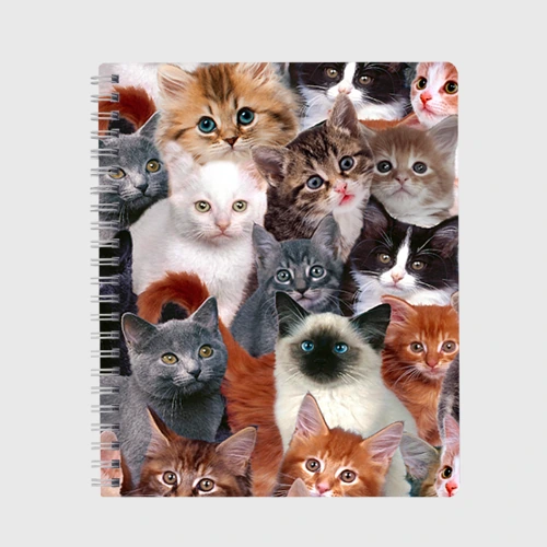 Тетрадь Котики