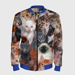 Мужской бомбер 3D Котики