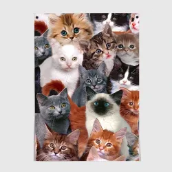 Постер Котики
