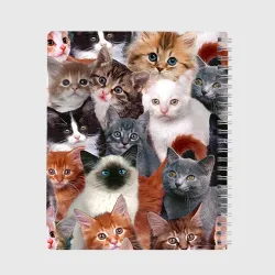 Тетрадь Котики - фото 2
