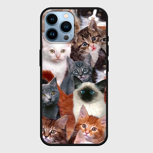 Чехол для iPhone 14 Pro Max Котики