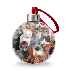 Котики Котики