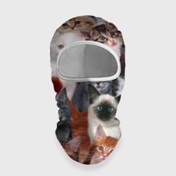 Балаклава 3D Котики