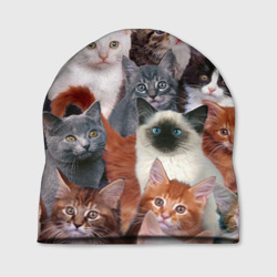 Шапка 3D Котики