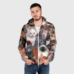 Мужская ветровка 3D Котики - фото 2