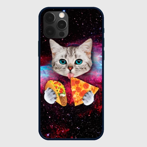 Чехол для iPhone 12 Pro Кот с едой