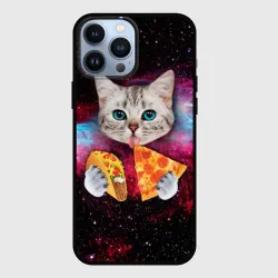 Чехол для iPhone 13 Pro Max Кот с едой