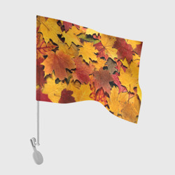 Флаг для автомобиля Осень на дворе