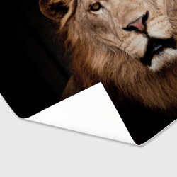 Бумага для упаковки 3D Царь зверей - фото 2