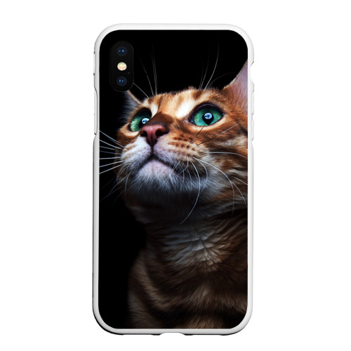 Чехол для iPhone XS Max матовый Милый котик