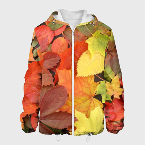 Мужская куртка 3D Осенние листья, цвет 3D печать