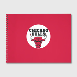 Альбом для рисования Bulls
