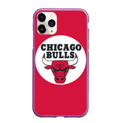 Чехол для iPhone 11 Pro Max матовый Bulls