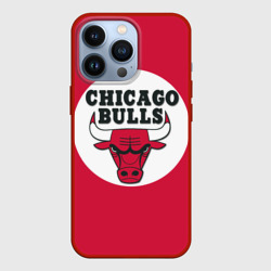 Чехол для iPhone 13 Pro Bulls