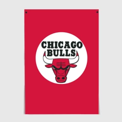 Постер Bulls