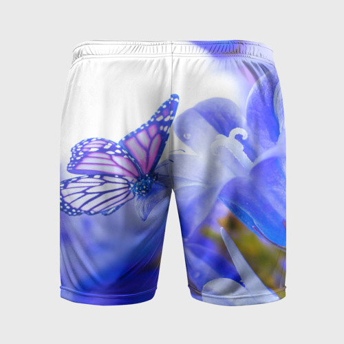 Мужские шорты спортивные с принтом Бабочки, вид сзади #1