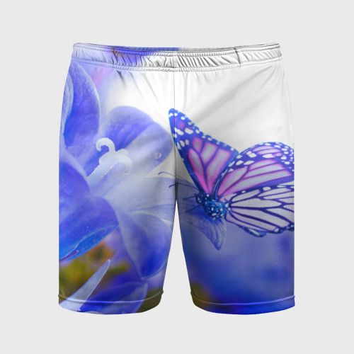 Мужские шорты спортивные с принтом Бабочки, вид спереди #2