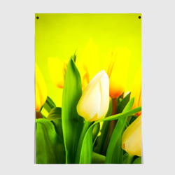 Постер Тюльпаны