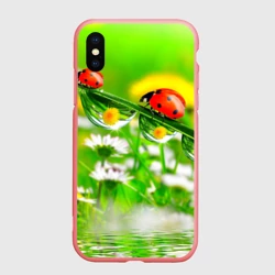 Чехол для iPhone XS Max матовый Макро