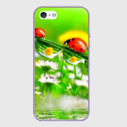 Чехол для iPhone 5/5S матовый Макро