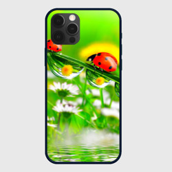 Чехол для iPhone 12 Pro Max Макро