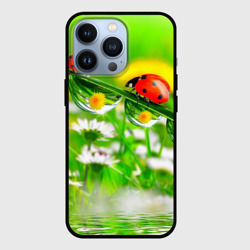 Чехол для iPhone 13 Pro Макро