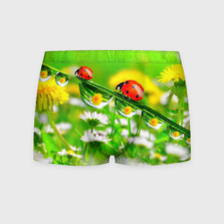 Мужские трусы 3D Макро