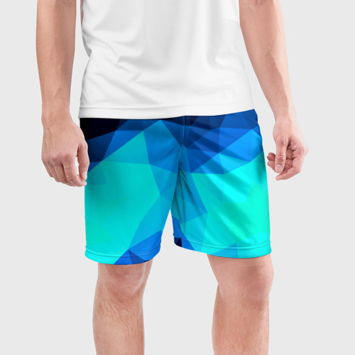 Мужские шорты спортивные Pilygon, цвет 3D печать - фото 3