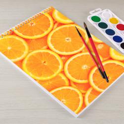 Альбом для рисования Апельсины - фото 2
