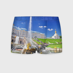 Мужские трусы 3D Петергоф
