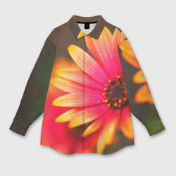 Мужская рубашка oversize 3D Цветы