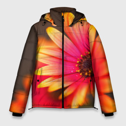 Мужская зимняя куртка 3D Цветы
