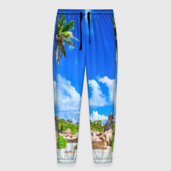 Мужские брюки 3D Сейшельские острова