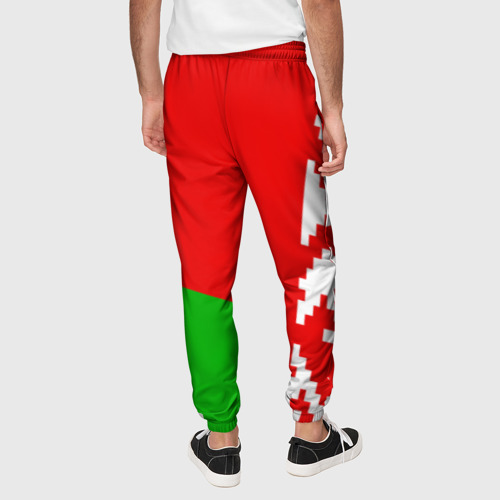 Мужские брюки 3D Беларусь 2, цвет 3D печать - фото 5