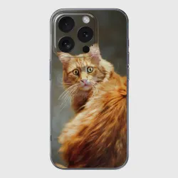 Чехол для iPhone 16 Pro Max силиконовый с защитой камеры Рыжий мейн-кун