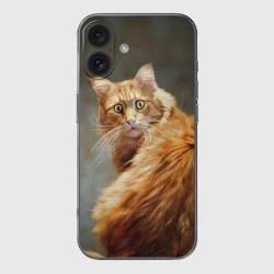 Чехол для iPhone 16 силиконовый с защитой камеры Рыжий мейн-кун