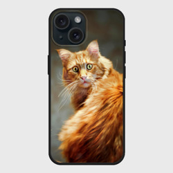Чехол силиконовый для Apple iPhone 15 матовый Рыжий мейн-кун