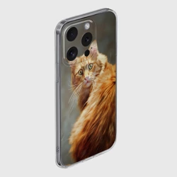 Чехол для iPhone 15 Pro силиконовый с защитой камеры Рыжий мейн-кун - фото 2