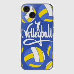 Чехол для iPhone 15 силиконовый с защитой камеры Волейбольные мячи