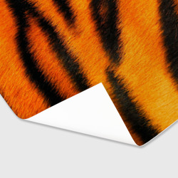 Бумага для упаковки 3D Шкура тигра - фото 2