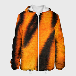 Мужская куртка 3D Шкура тигра