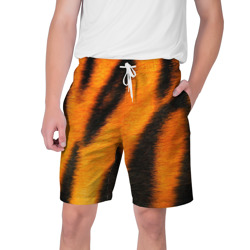 Мужские шорты 3D Шкура тигра