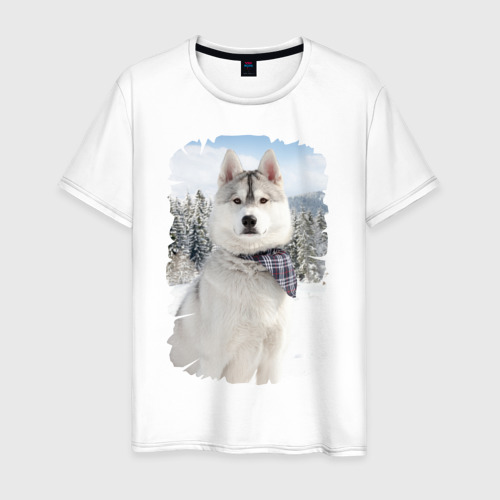 Мужская футболка хлопок Волк в зимнем лесу, цвет белый