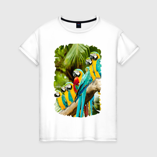 Женская футболка хлопок Экзотические попугаи, цвет белый