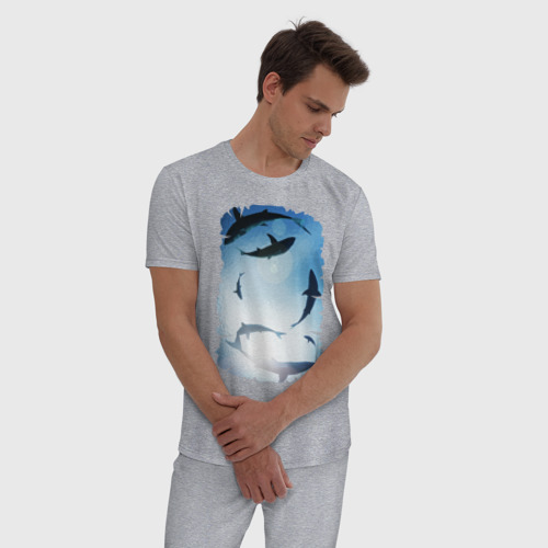 Мужская пижама хлопок Акулы, цвет меланж - фото 3