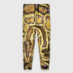Женские брюки 3D Змея