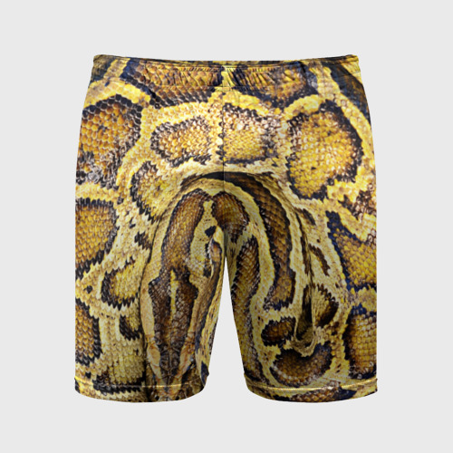 Мужские шорты спортивные Змея, цвет 3D печать